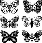 Butterflies Black and White 101